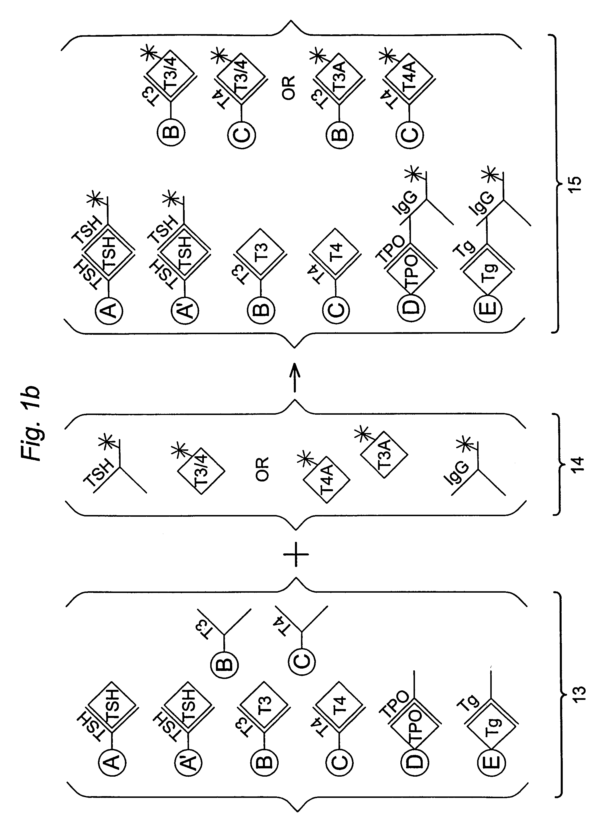 Multi-analyte diagnostic test for thyroid disorders