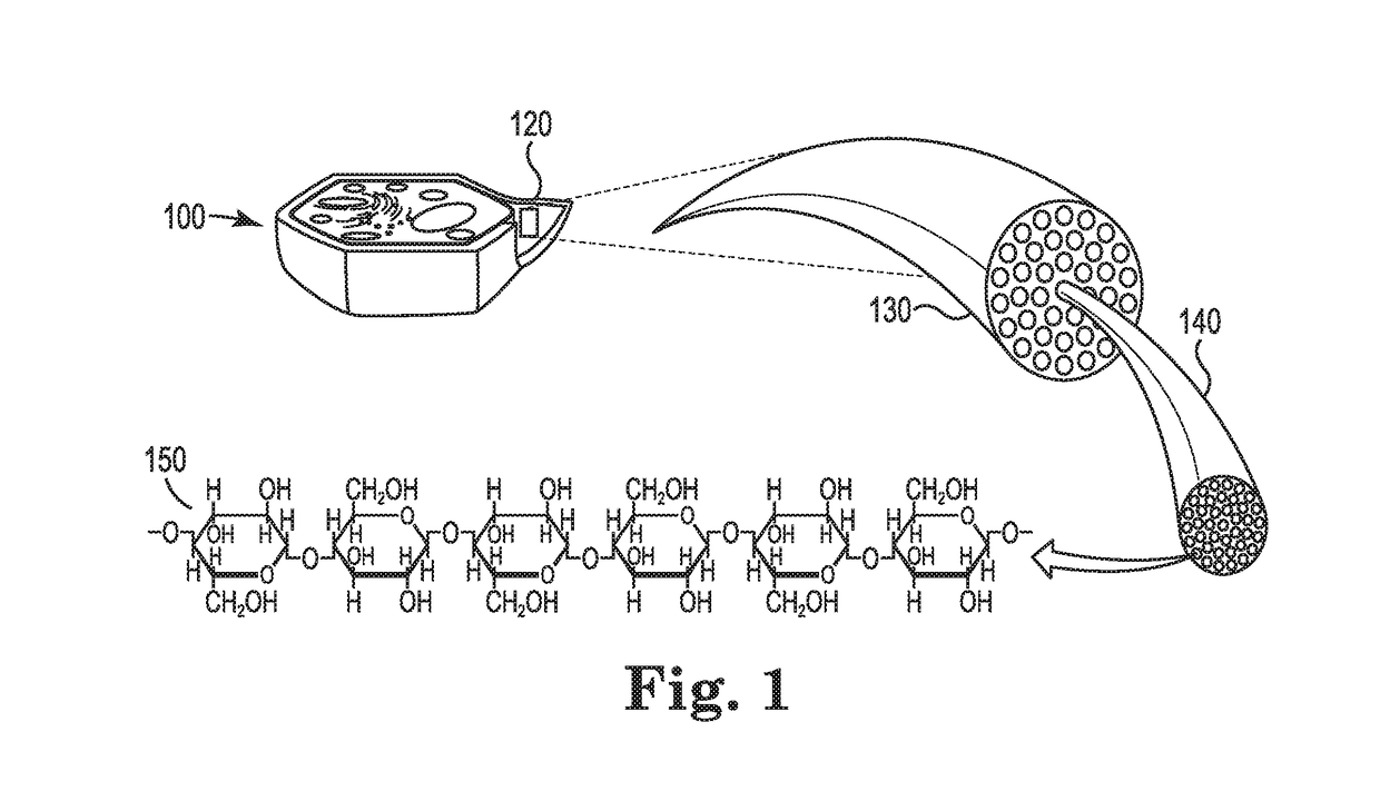 Process of Producing Biochar From Beneficiated Organic-Carbon-Containing Feedstock