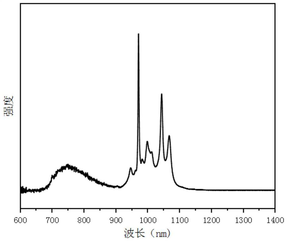 Novel chromium-doped double-borate near-infrared fluorescent powder and light source prepared from novel chromium-doped double-borate near-infrared fluorescent powder