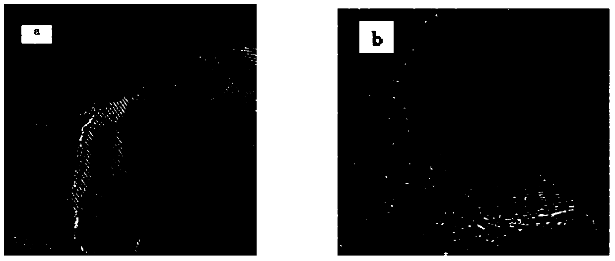 Low-temperature SCR denitration catalyst with titanium-based core-shell structure and preparation method of catalyst