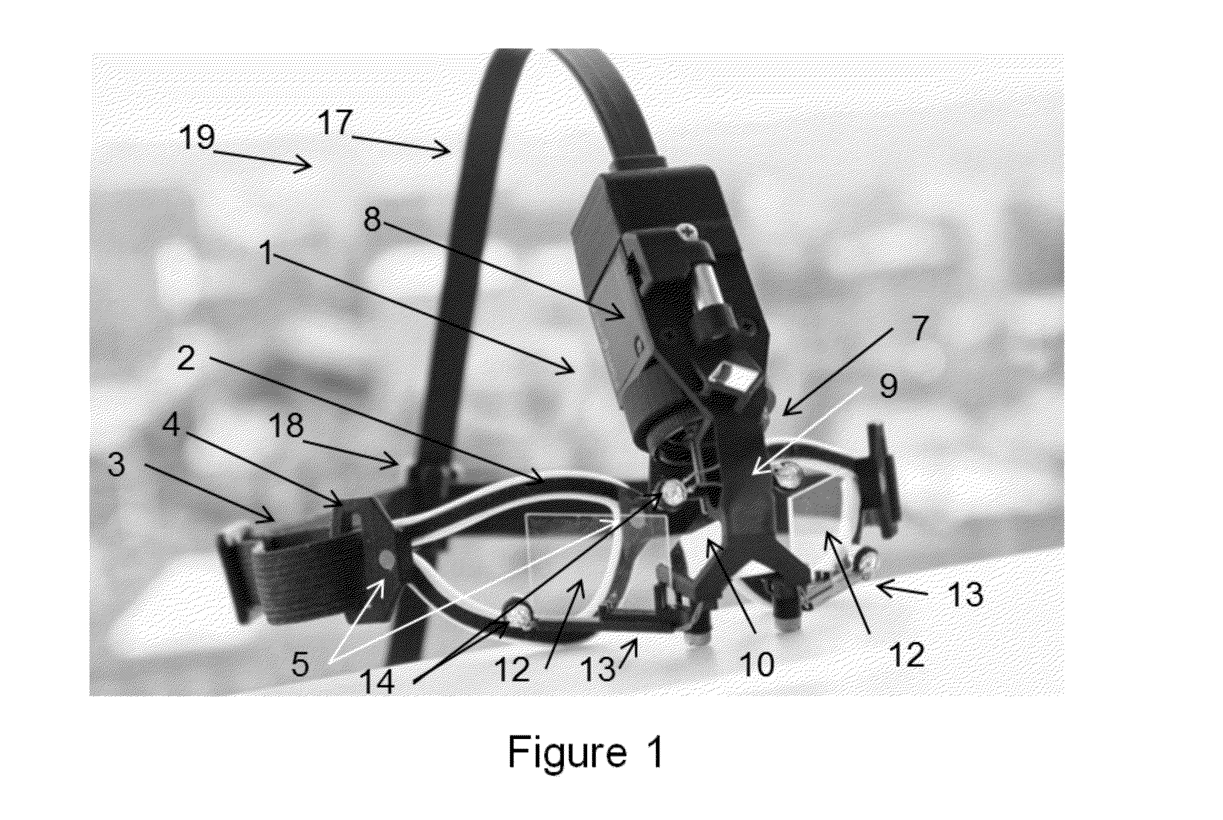 System For Synchronously Sampled Binocular Video-Oculography Using A Single Head-Mounted Camera