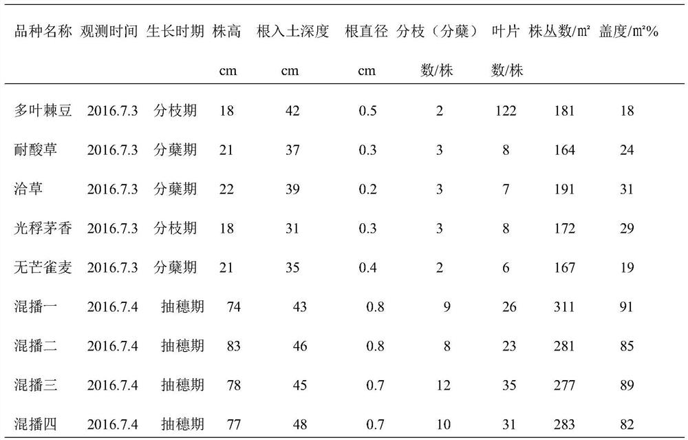 Ecological restoration method for slope in typical grassland area