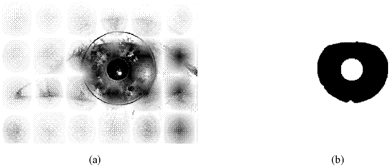 Method for determining quality of iris image based on machine learning