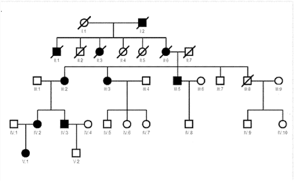 Kit for detecting high myopia