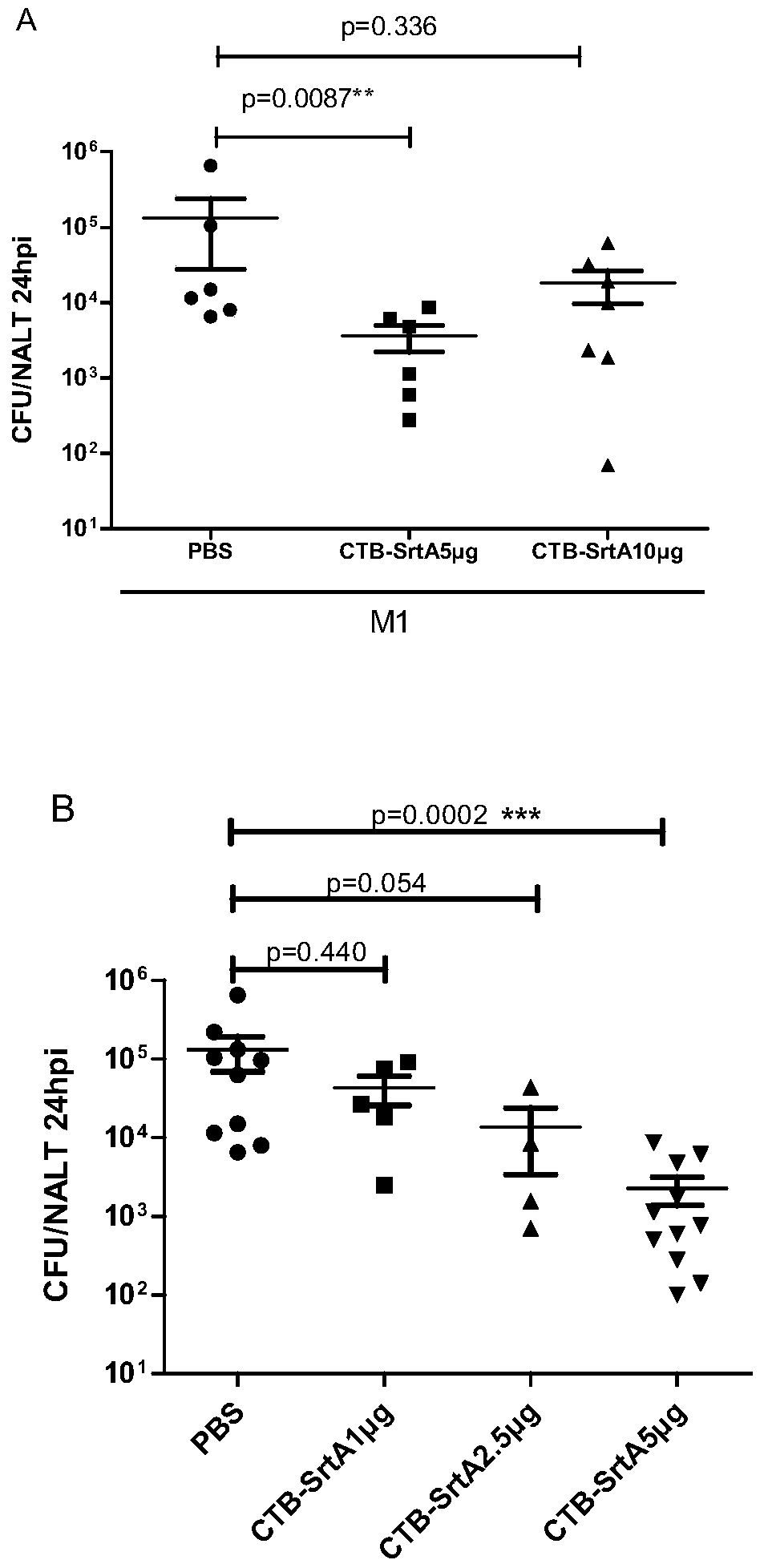 A fusion protein vaccine that inhibits streptococcal and/or prevents streptococcal infection