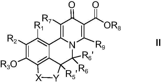 Novel isoquinoline compound and medical application thereof