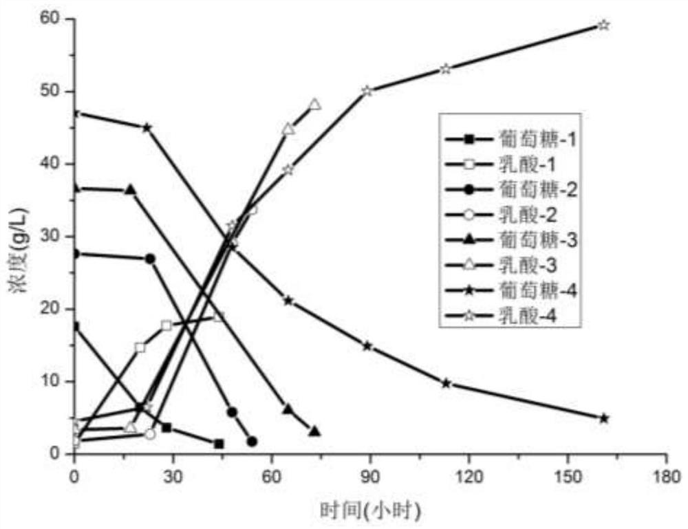 Method for efficiently producing lactic acid from non-enzymatic biomass hydrolysis saccharification liquid without detoxification