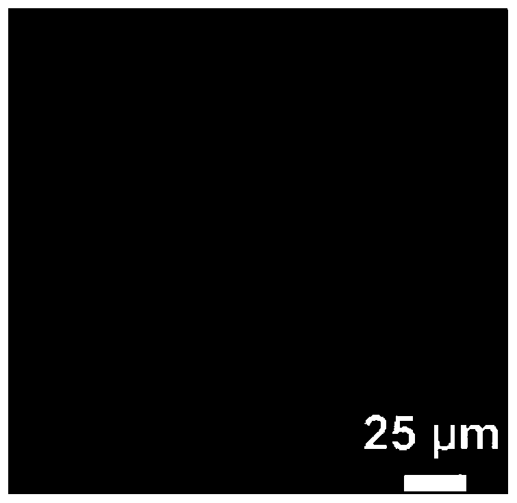 A method for treating skull light transparency and its application