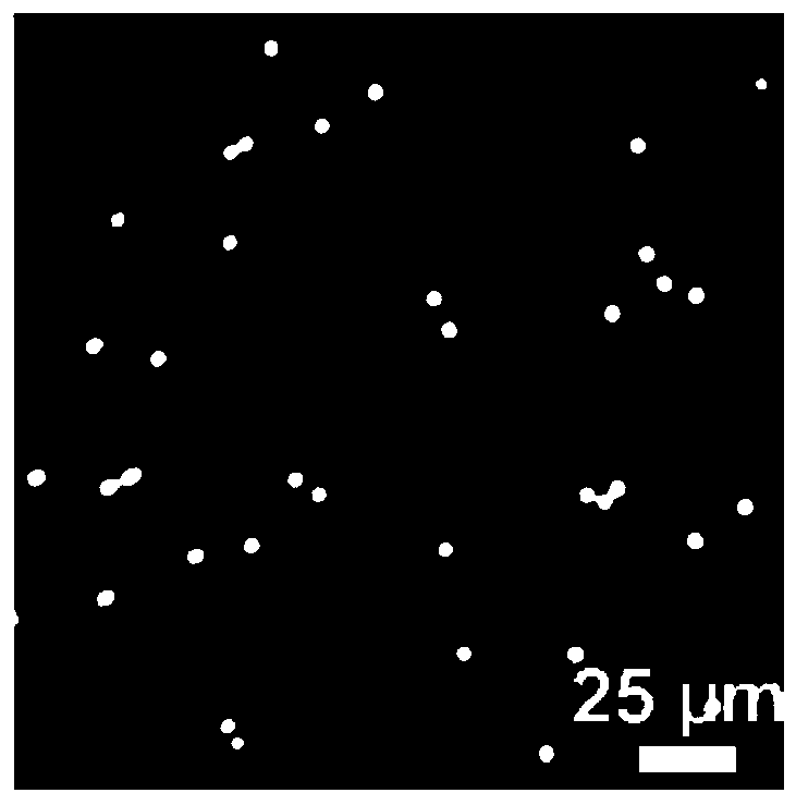 A method for treating skull light transparency and its application