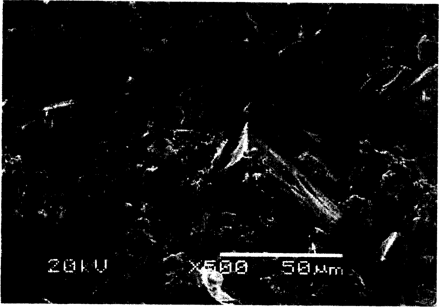 Surface treatment method for hydrogen-storing alloy powder