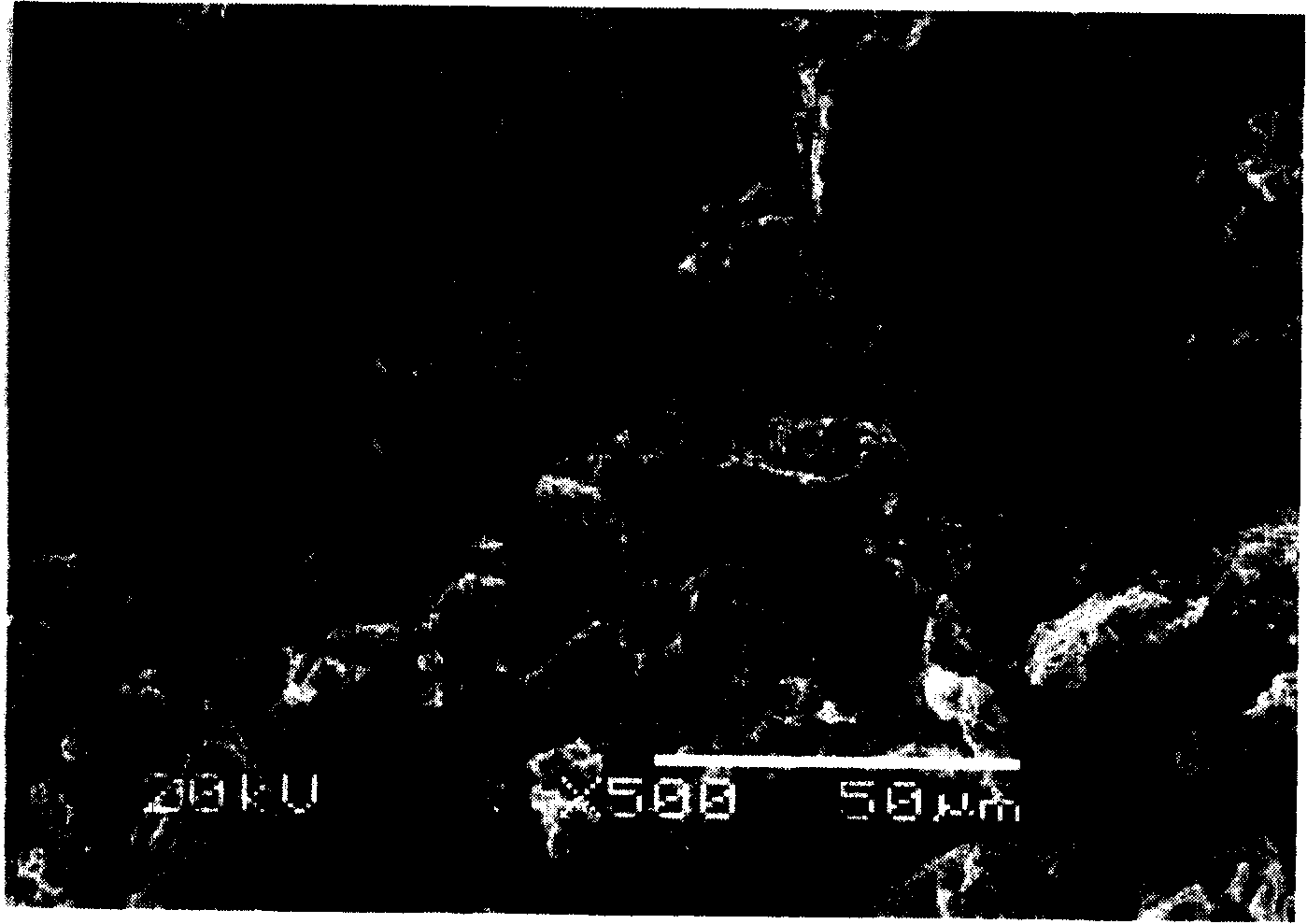 Surface treatment method for hydrogen-storing alloy powder