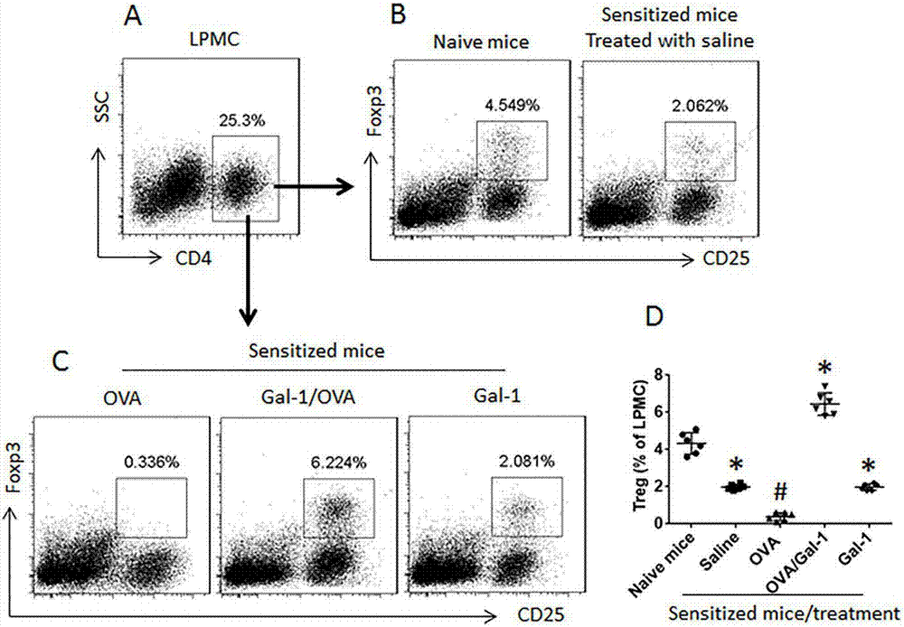 Detection model for mouse intestinal mucosa epithelial barrier function and intestinal mucosa immune tolerance cell