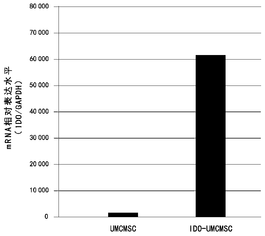 Method of enhancing immunosuppression by over-expressing IDO by cs and application thereof