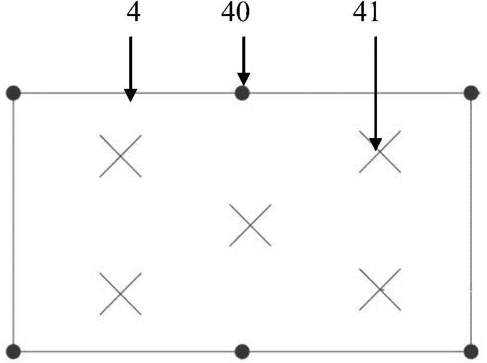 Littoral zone plant dike dam suitable for flowing water body and construction method of littoral zone plant dike dam