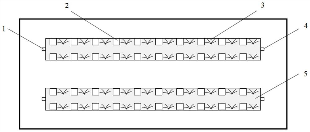 Simulated ecological mixed culture method and system for quasipaa spinosa and acrossocheilus fasciatus