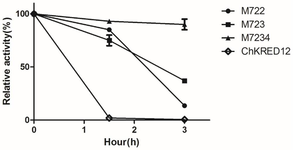 A carbonyl reductase mutant with improved thermostability