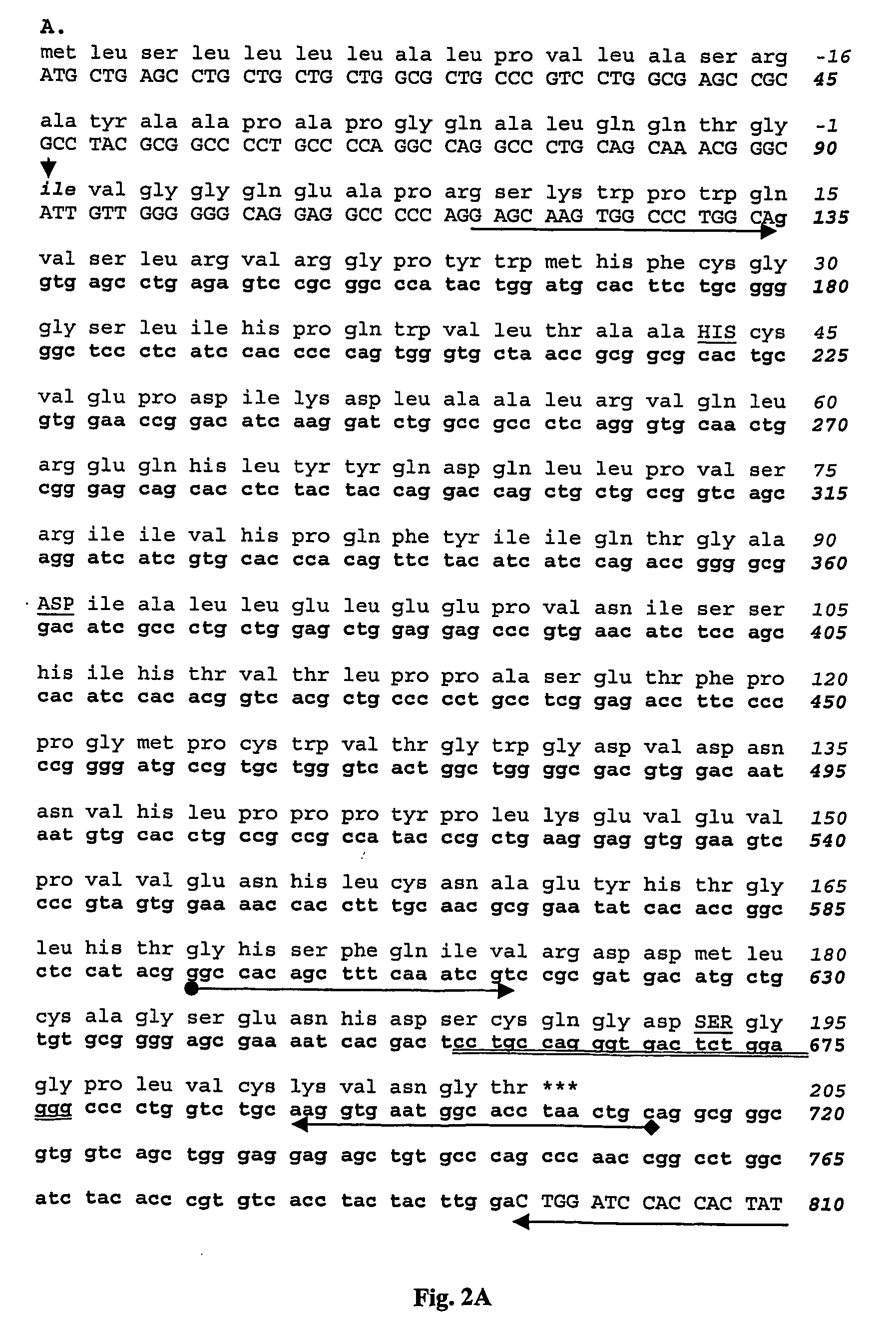 Tryptase polypeptide and uses thereof