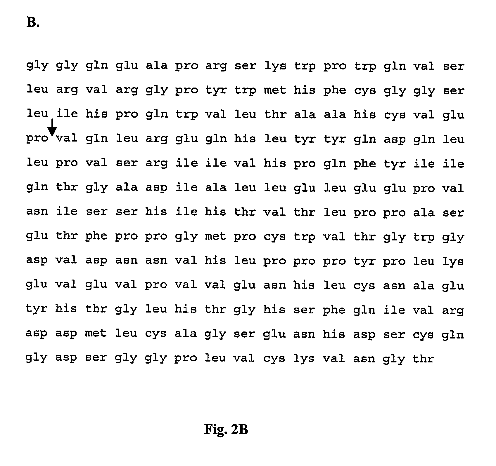 Tryptase polypeptide and uses thereof