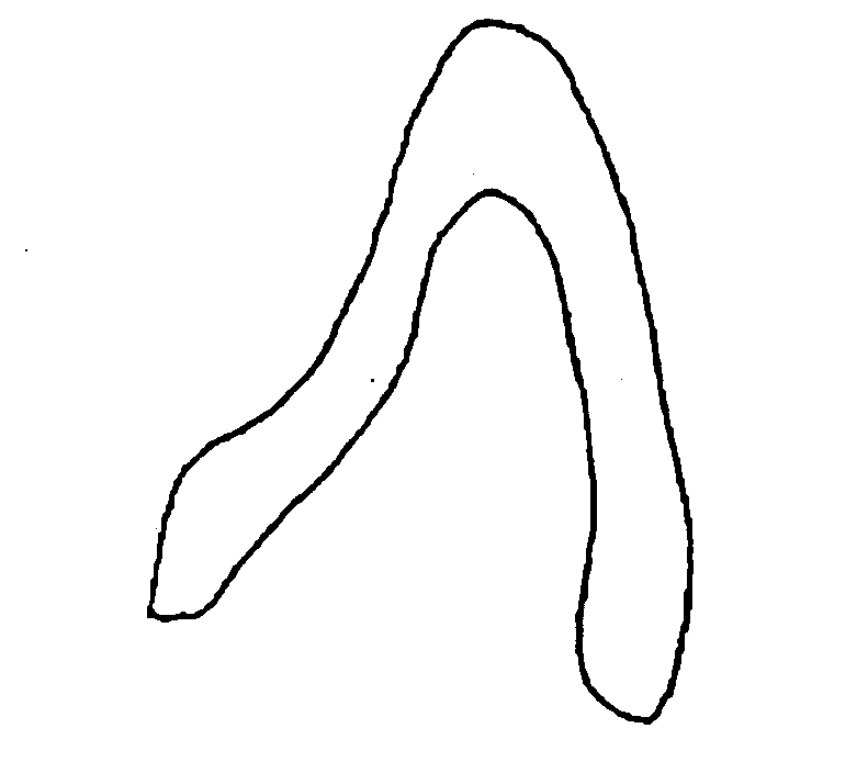 Tooth for jaw tooth model and method for producing the same