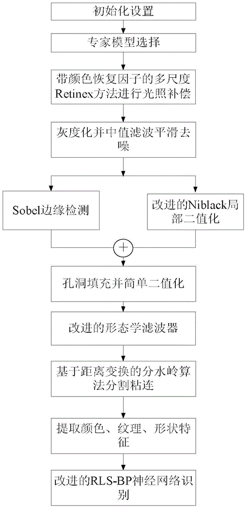 Intelligent recognition method of spore pictures of wheat powdery mildew