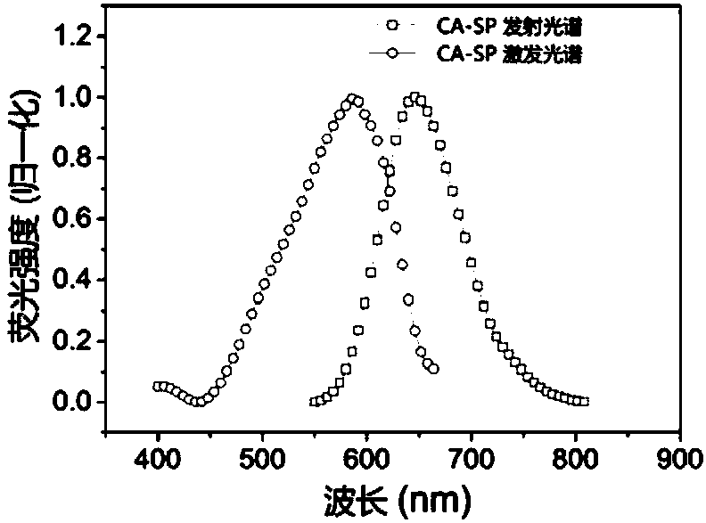 Homogeneous solution containing responsive fluorescent polysaccharide derivatives, preparation method and use thereof