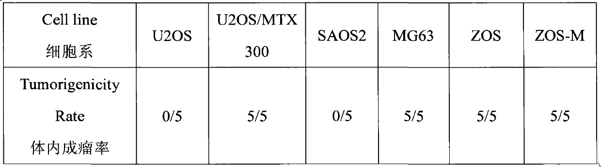 Application of lithium preparation in preparation of anti-osteosarcoma medicament