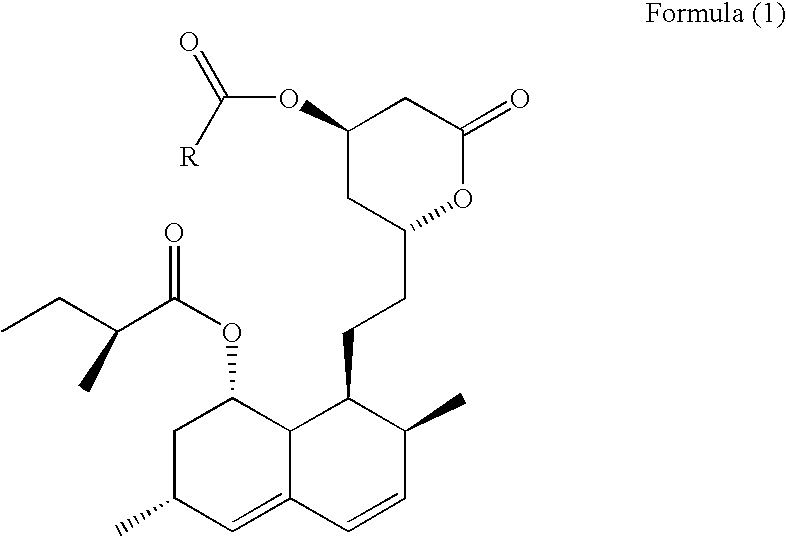 Sustained-Release Preparation of Statin Drugs