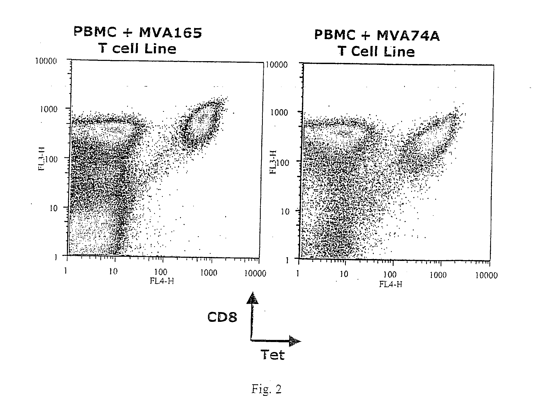 Identification of gene sequences and proteins involved in vaccinia virus dominant T cell epitopes