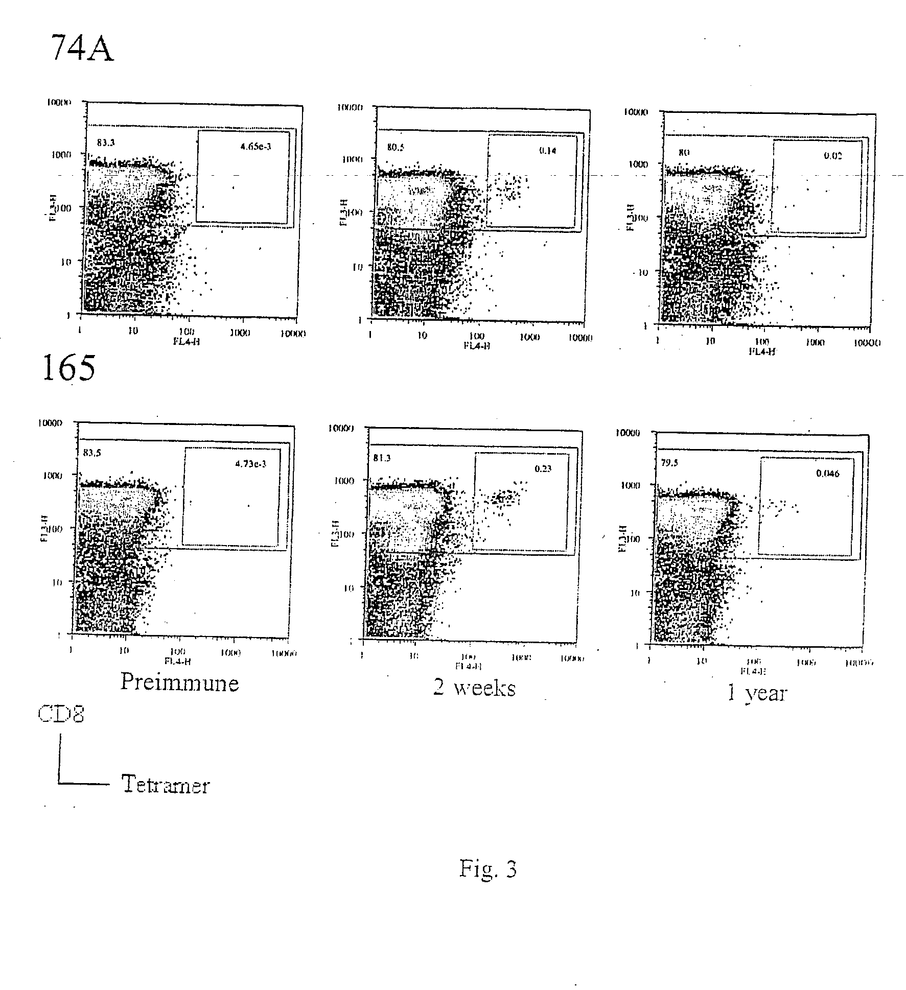 Identification of gene sequences and proteins involved in vaccinia virus dominant T cell epitopes