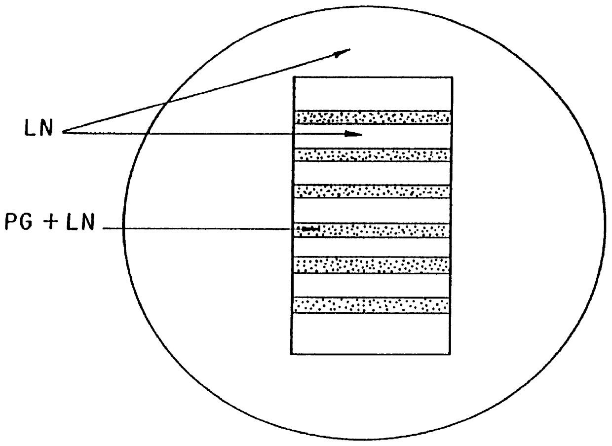 Method for inhibition of bone growth by anionic polymers