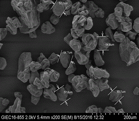 Multi-bitter-modified bitter gourd whole fruit glucose-reducing powder and preparation method thereof