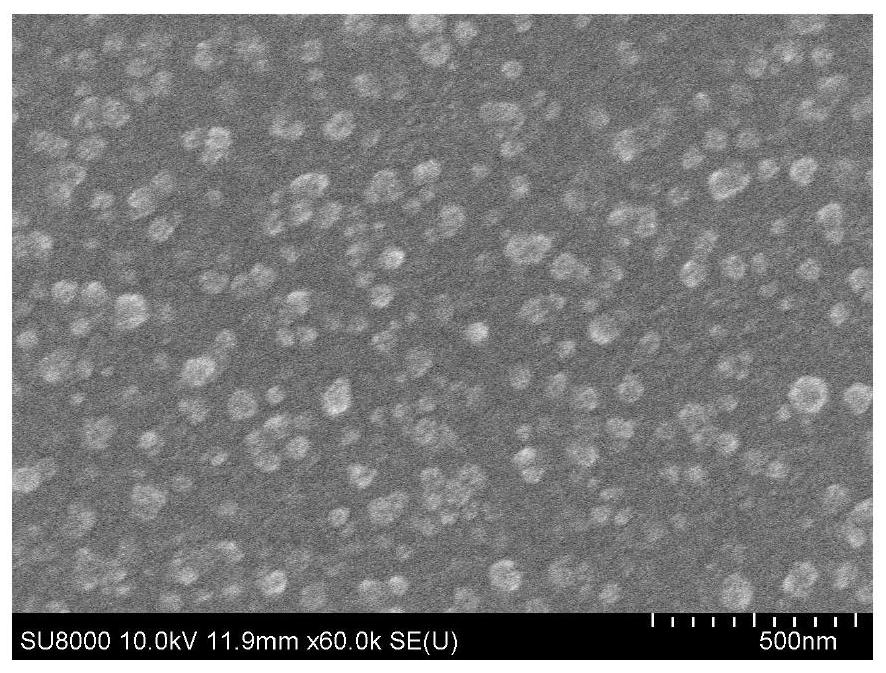 Anthocyanin nanoparticles based on marine polysaccharide carrier and its preparation method and application in targeted delivery