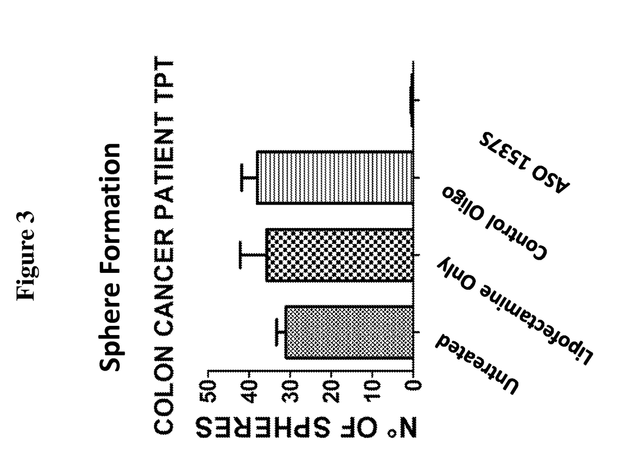 Antisense oligonucleotides for treatment of cancer stem cells