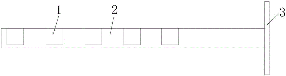 Radioactive particle chain and use method thereof