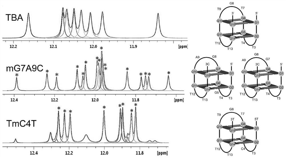 Artificial G-quadruplex DNA metalloenzyme and application thereof