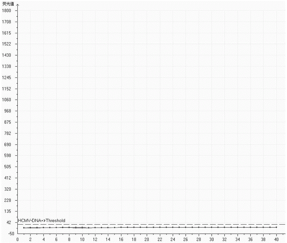 Human cytomegalovirus nucleic acid quantitative detection primer and probe, kit and use thereof