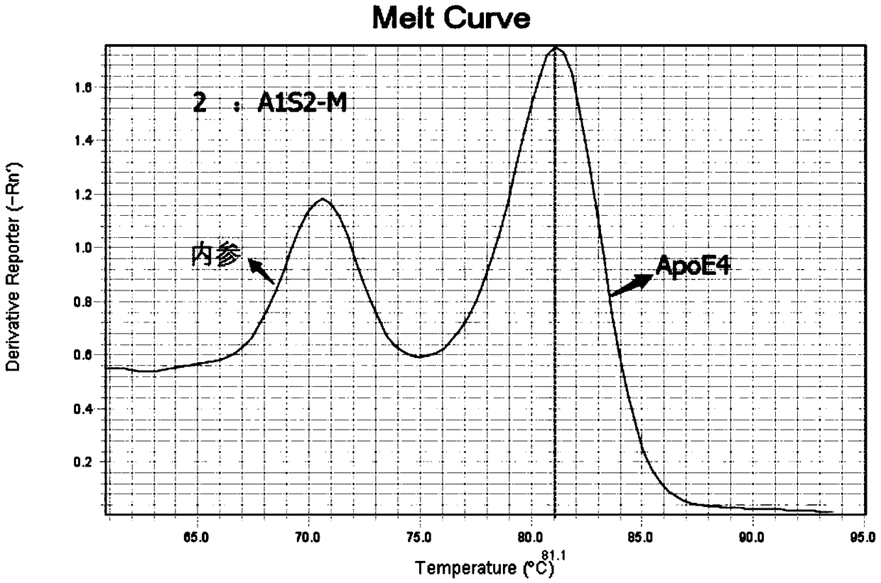 Kit for detecting polymorphism of APOE gene and SLCO1B1 gene