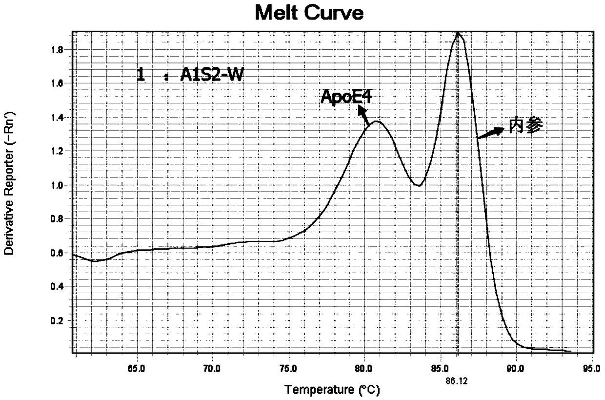 Kit for detecting polymorphism of APOE gene and SLCO1B1 gene