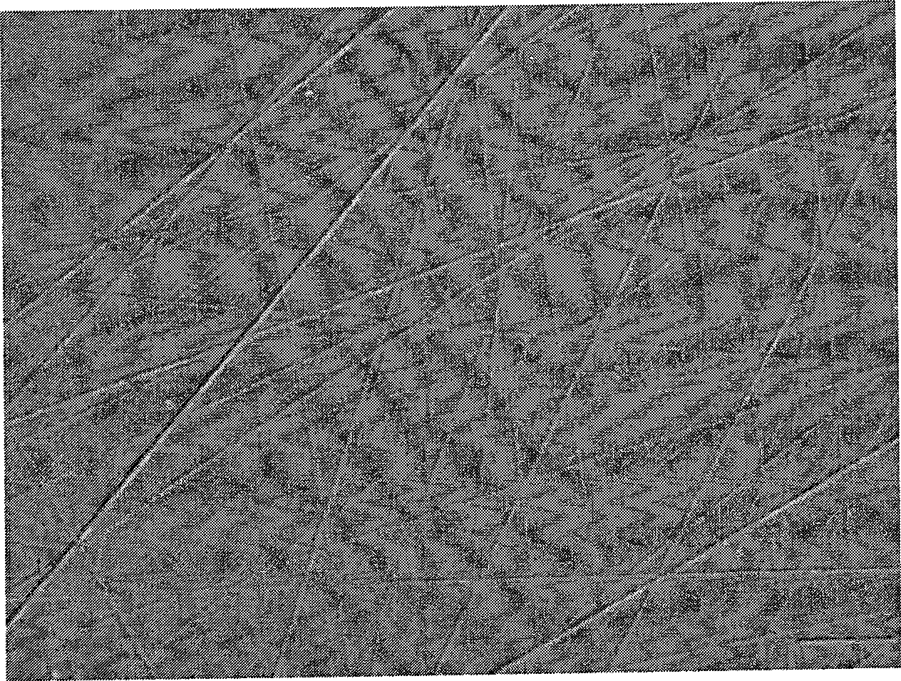 Method for processing GaN epitaxial substrate