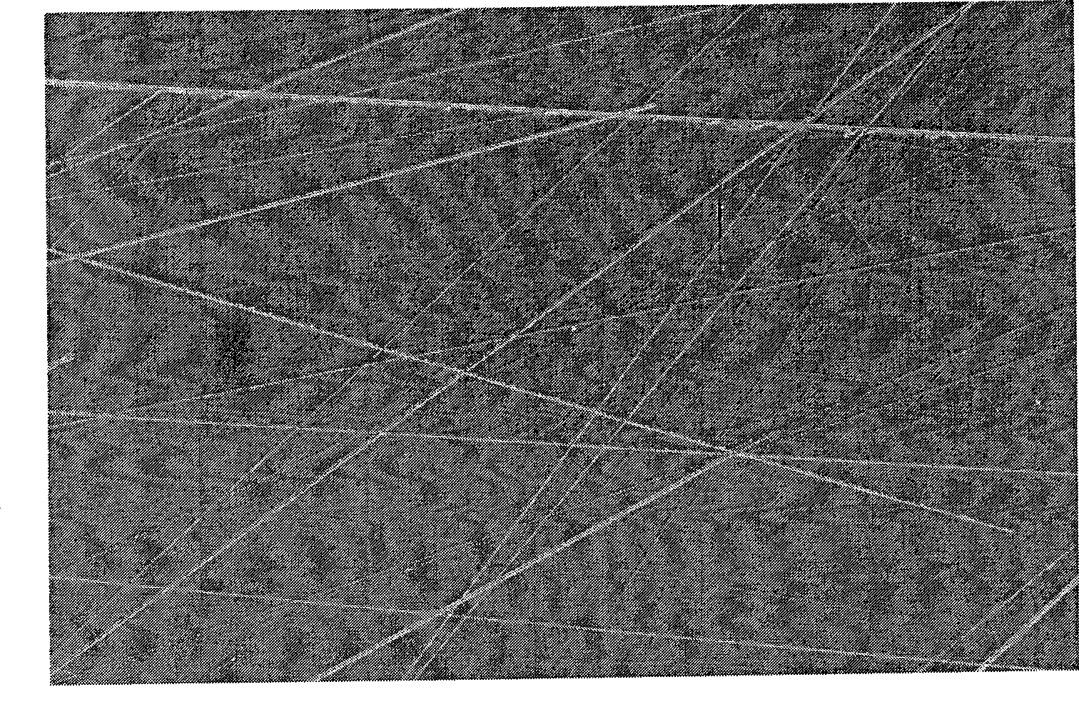 Method for processing GaN epitaxial substrate