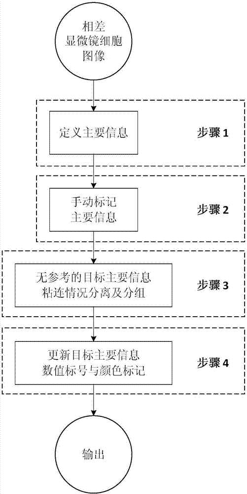 Separating and grouping method of adhesion conditions of main information of cells under contrast phase microscope for interframe-free reference information