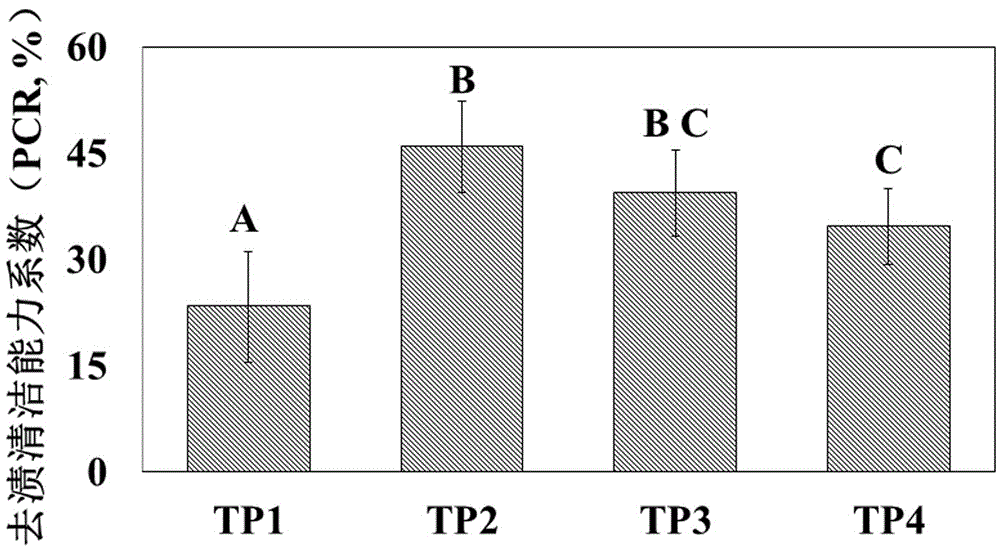 Toothpaste containing insoluble dietary fiber and sodium phytate, and preparation method of toothpaste