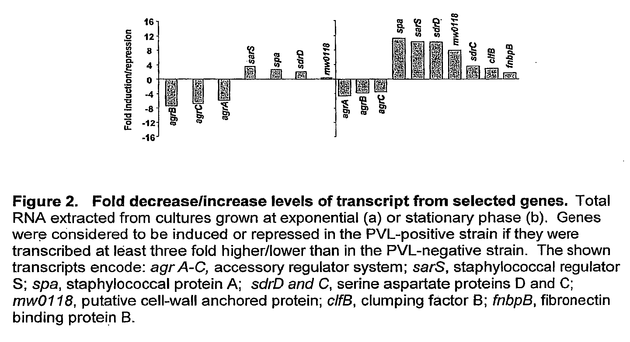 Antibodies recognizing a highly expressed putative antigen of ca-mrsa and methods of use