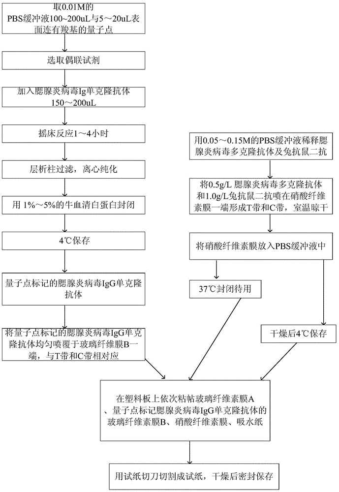 Preparation method for quantum-dot labeled immunochromatography test paper