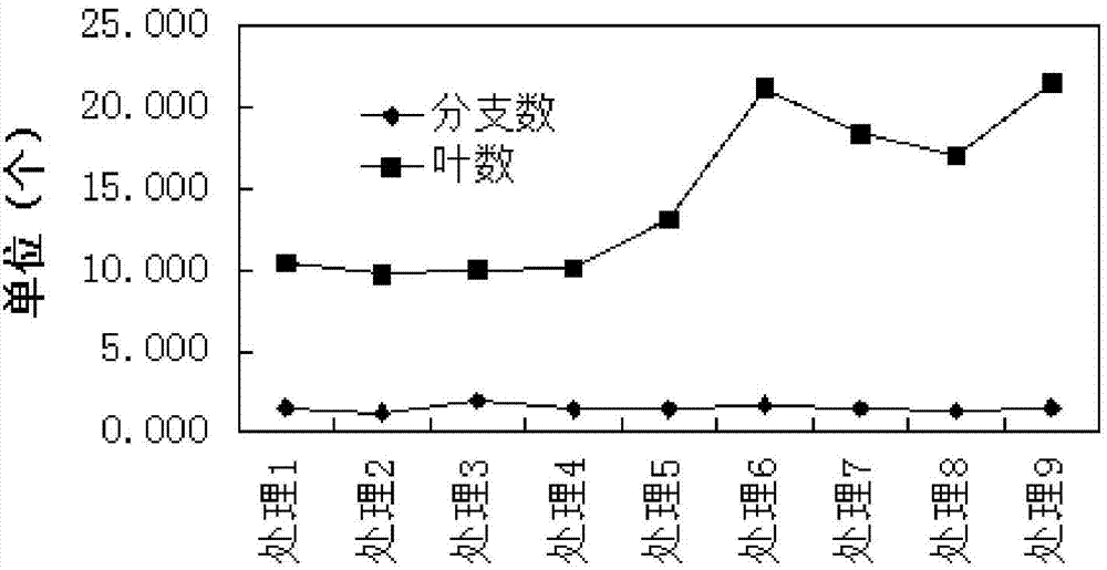 Roof greening culture substrate and preparation method thereof