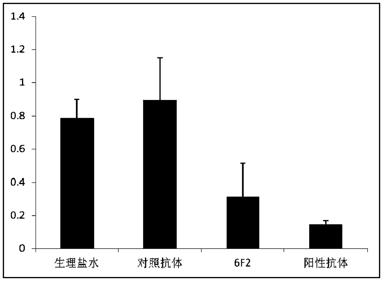 A kind of rtn4b polypeptide, its monoclonal antibody, hybridoma cell line producing monoclonal antibody and their preparation and application