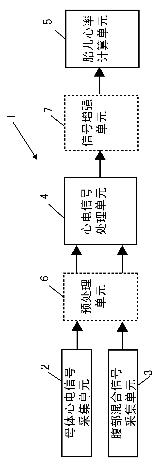 System and method for measuring heart rate of fetus