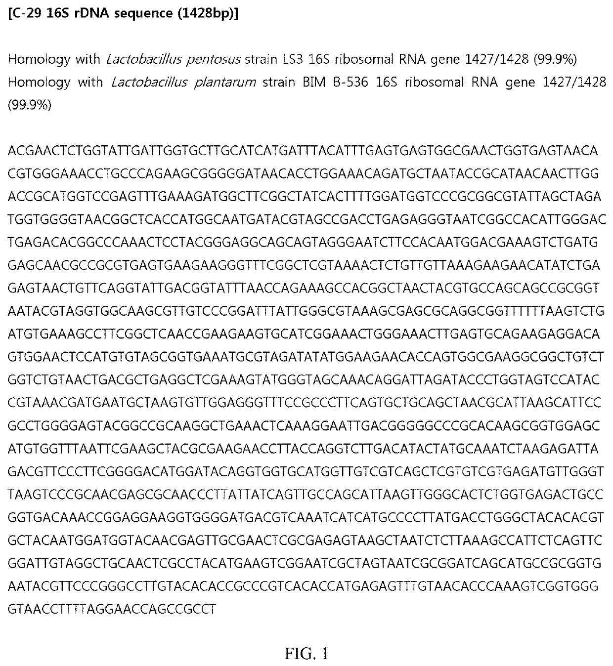 Lactic acid bacteria capable of preventing and/or treating senescence and dementia