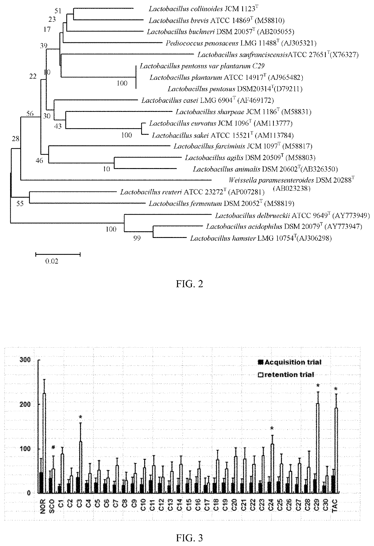 Lactic acid bacteria capable of preventing and/or treating senescence and dementia