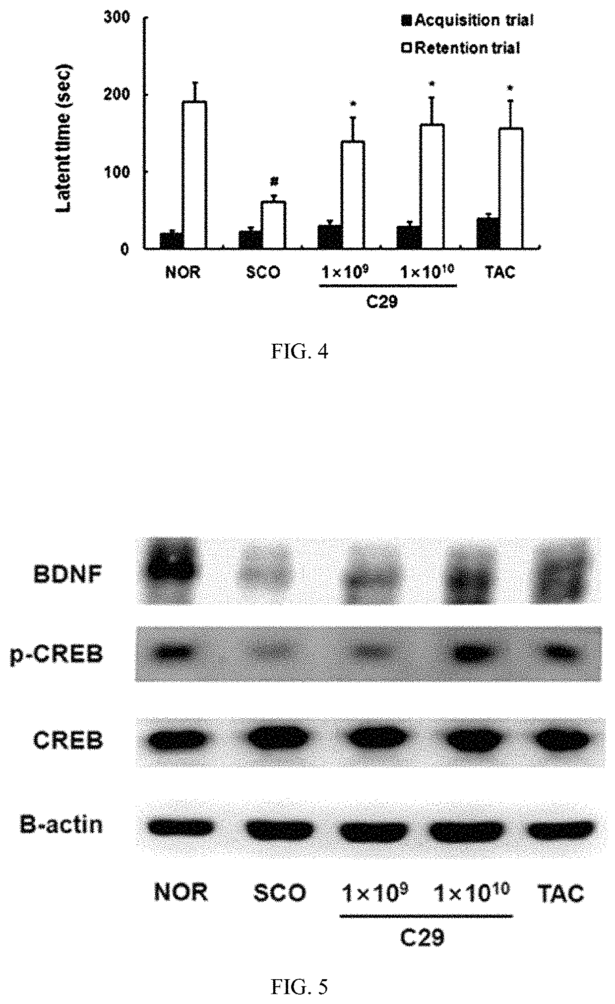 Lactic acid bacteria capable of preventing and/or treating senescence and dementia